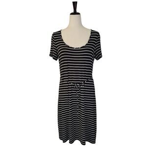 Calvin Klein Black & White Striped Scoop Neck Short Sleeve Belted Dress Size 10